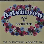 B&B Anemoon